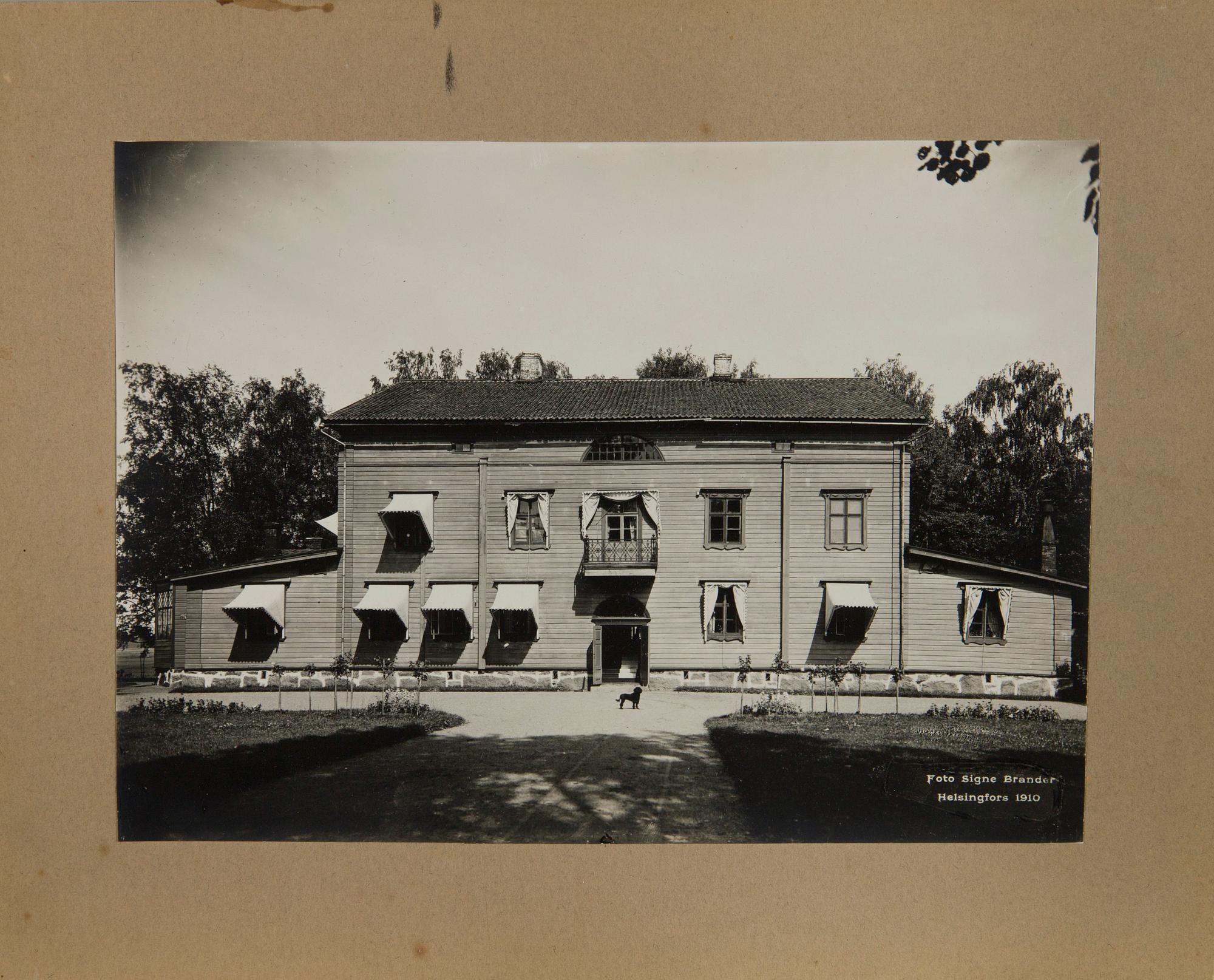 Signe Brander, eleven photographs, mounted on cardboard. First quarter of the 20th century.