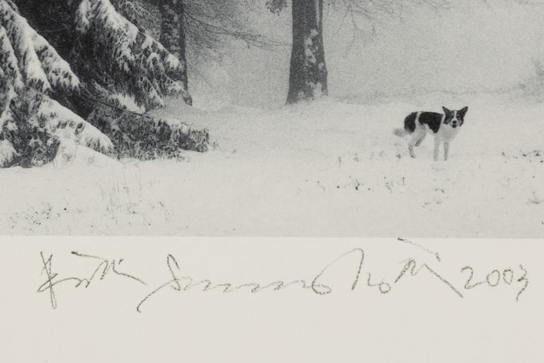 Pentti Sammallahti, "Petrohan, Bulgaria, 2003".