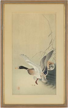 Ohara Koson, 'Gräsand lyfter från en damm' / 'Gräsandspar'.