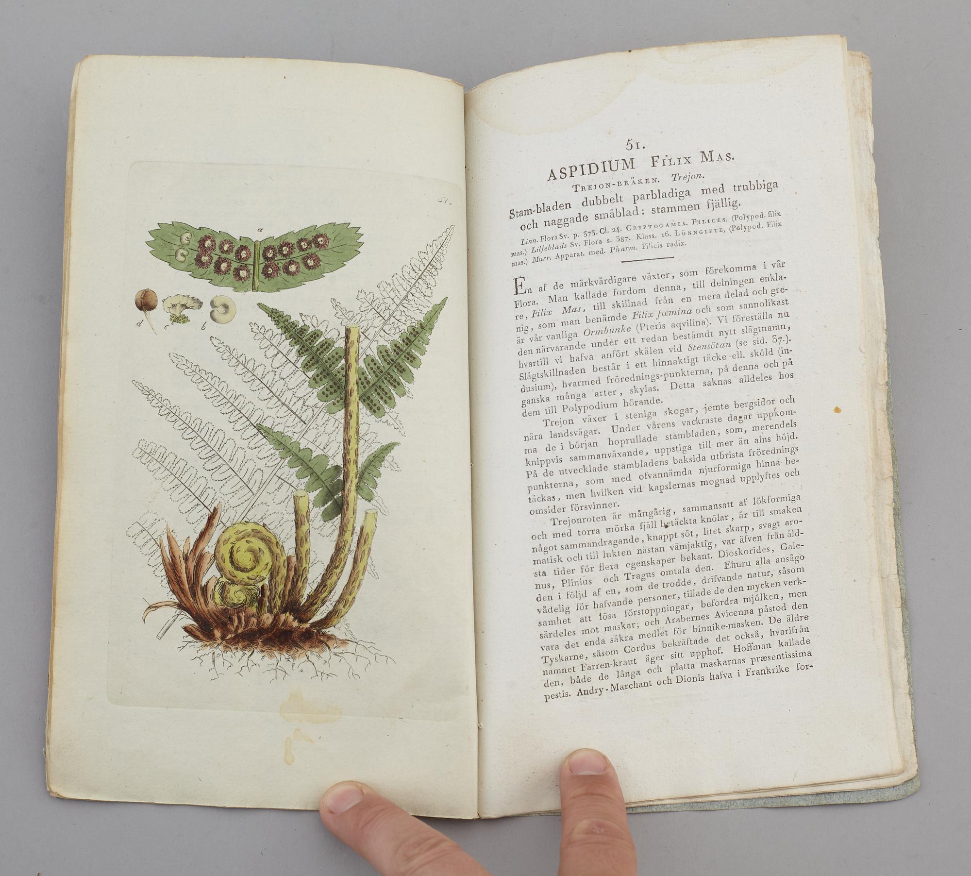 JOHAN WILHELM PALMSTRUCH, "Svensk Botanik, vol I-V. 1803-1805.