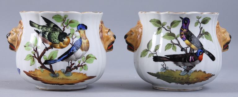 YTTERFODER, 2 st, porslin, Dresdenliknande märke, 1900-tal.