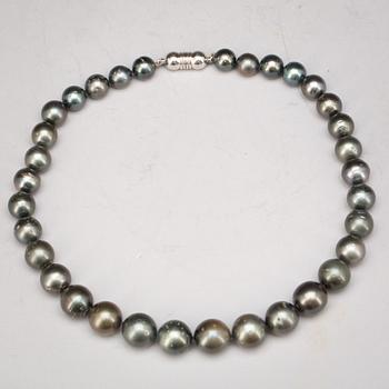 COLLIER, odlade south sea pearls. Vikt ca 80g.