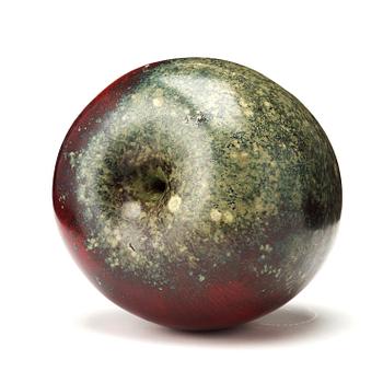 Hans Hedberg, äpple, Biot, Frankrike.