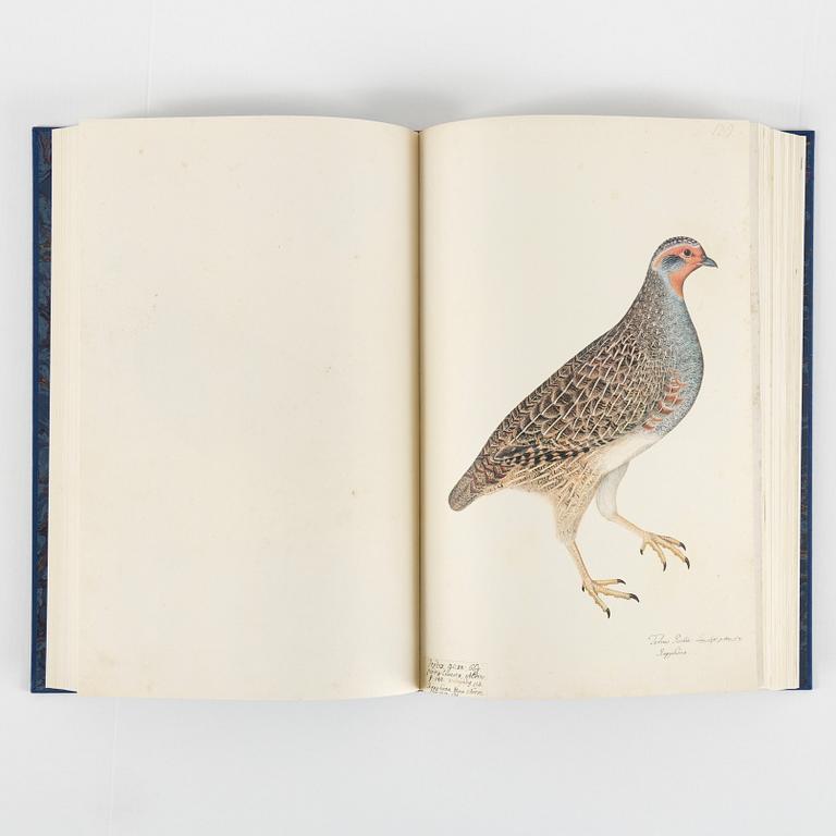 Olof Rudbeck A portfolio and two books, 1985. 35 litographs in color.