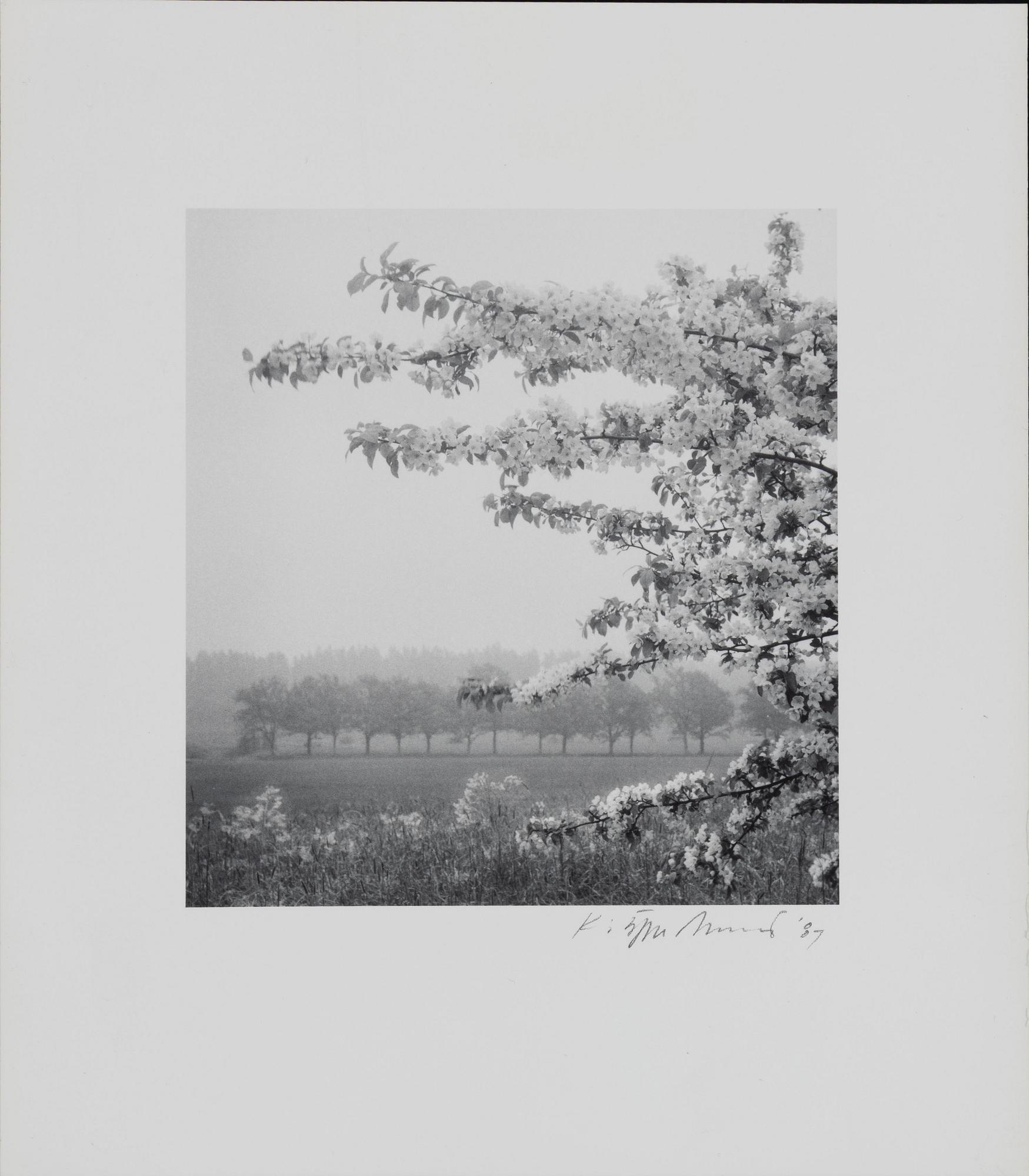 Kristoffer Albrecht, Untitled, 1989.