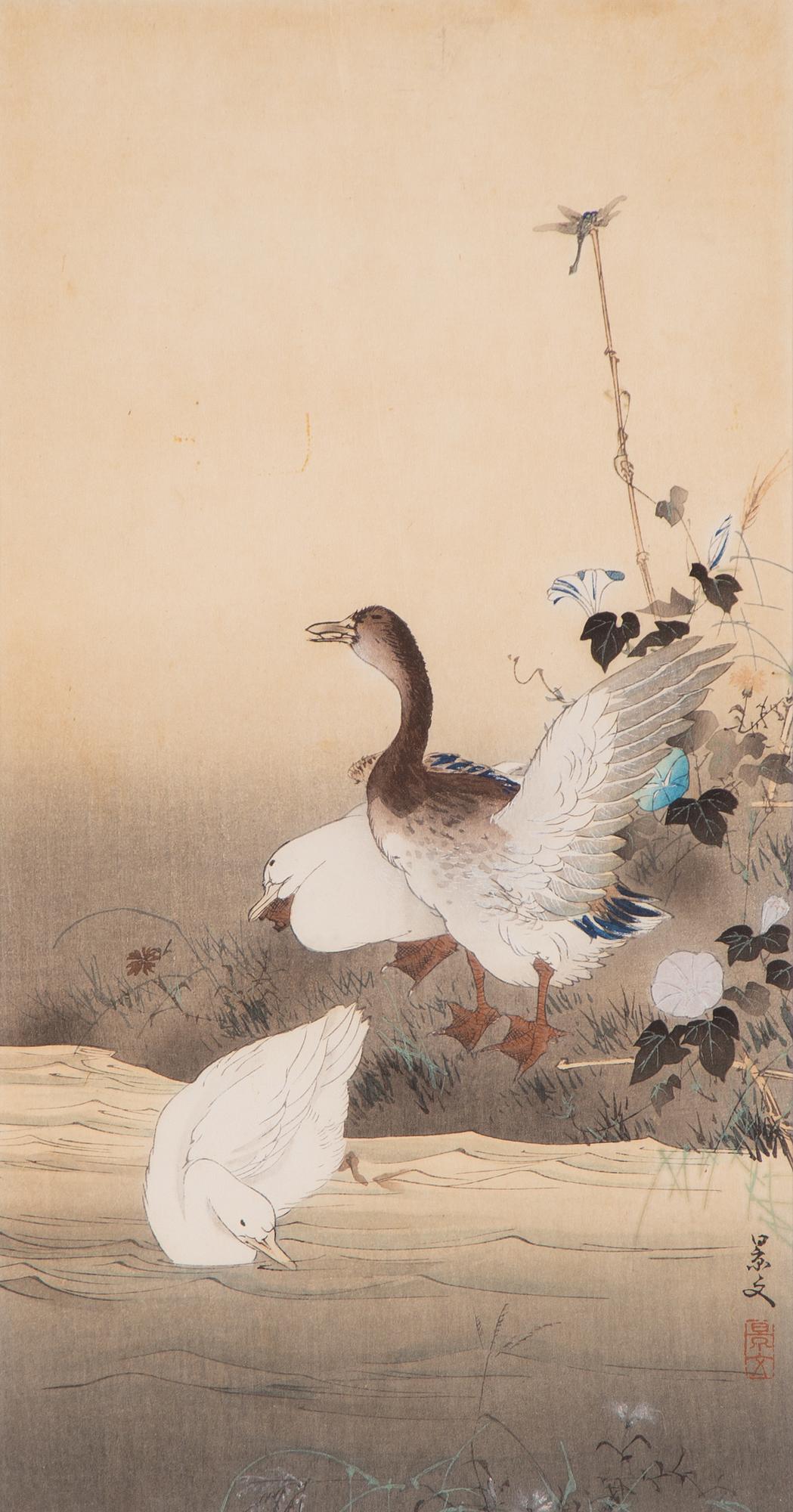 Matsumura Keibun, after, Ducks and dragonfly by the riverbank, first part of the 20th century.