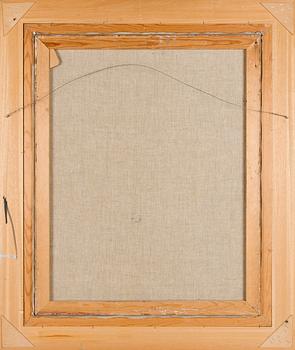 Aares Salli, Vinterlandskap.