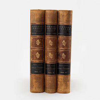 Three volumes of 'Svenska fåglar' by the von Wright brothers, printed at A.Börtsells Tryckeri AB, Stockholm, 1924-29.