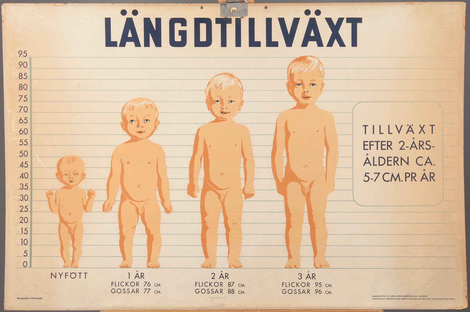 SKOLPLANSCHER, 2 st, Ljunglöfs STHLM, 1900-talets mitt.