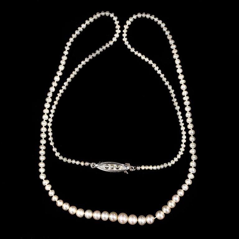 COLLIER, orientaliska pärlor, lås i 14k vitguld.