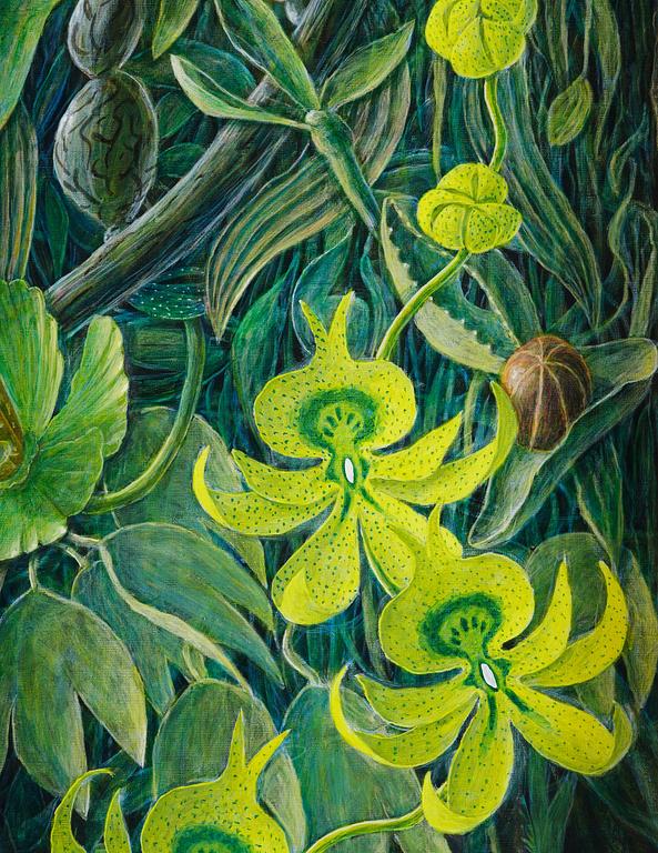 Karl Axel Pehrson, "Vegetativt överhäng".