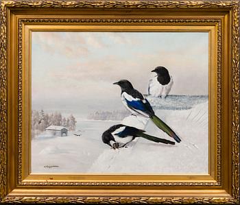 MATTI KARPPANEN, "Magpie".