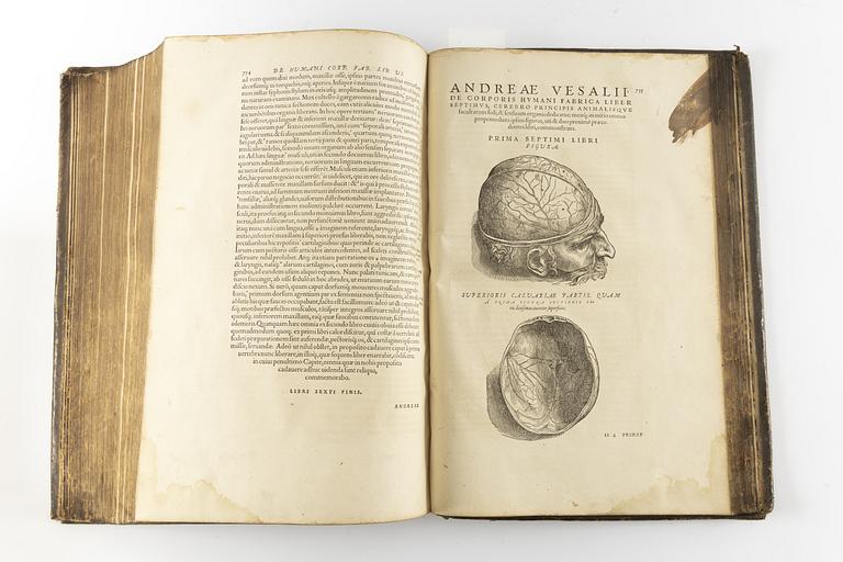 Andra och bästa upplagan av Vesalius’ anatomiska praktverk, 1555.