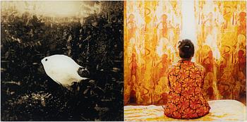 Lena Katarina Johansson, Untitled.