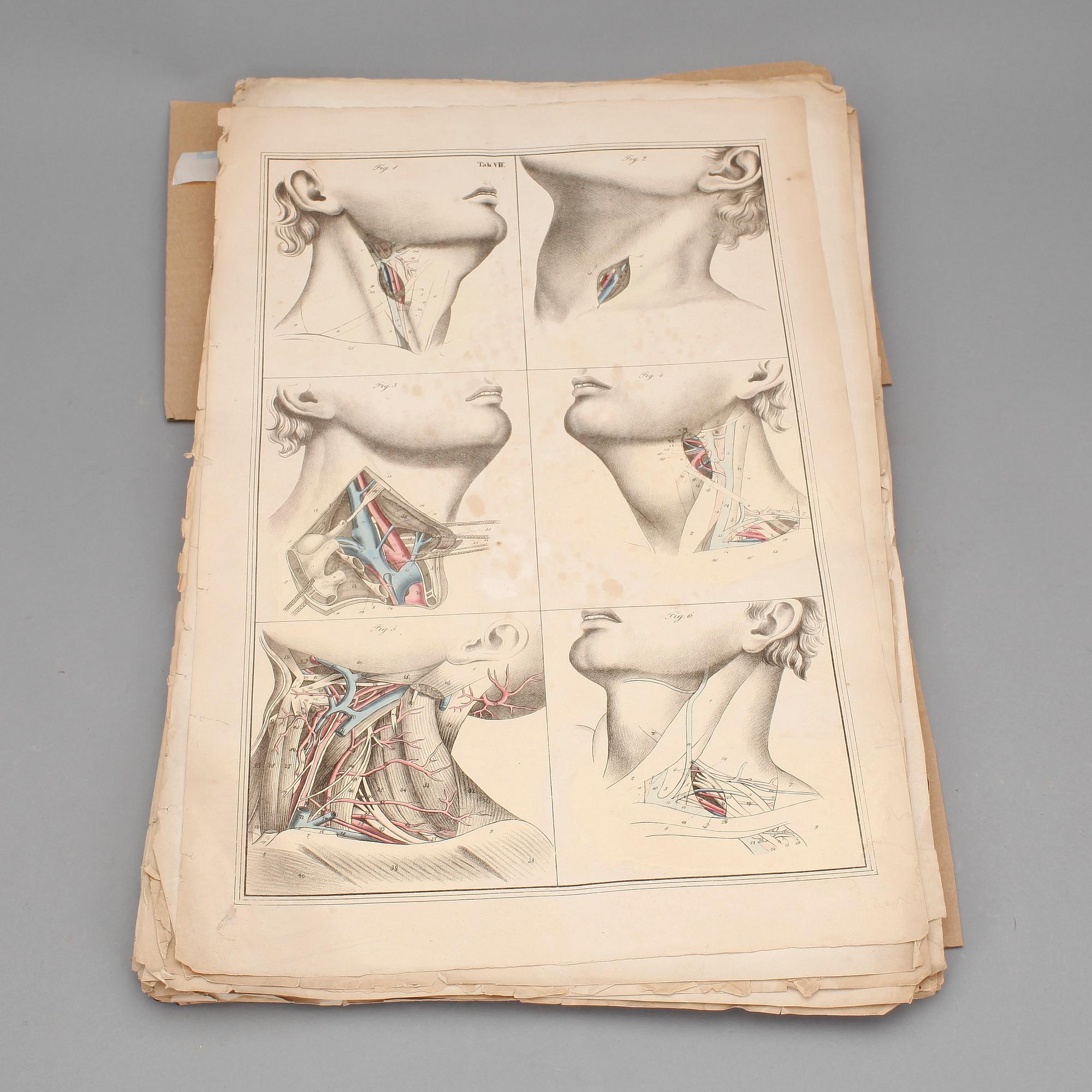 BOK, "Akiurgische abbildungen...der blutigen..operationen..", Dr. Ernst Blasius, Berlin 1833.