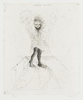 Outi Heiskanen, "Flygande dervisch".