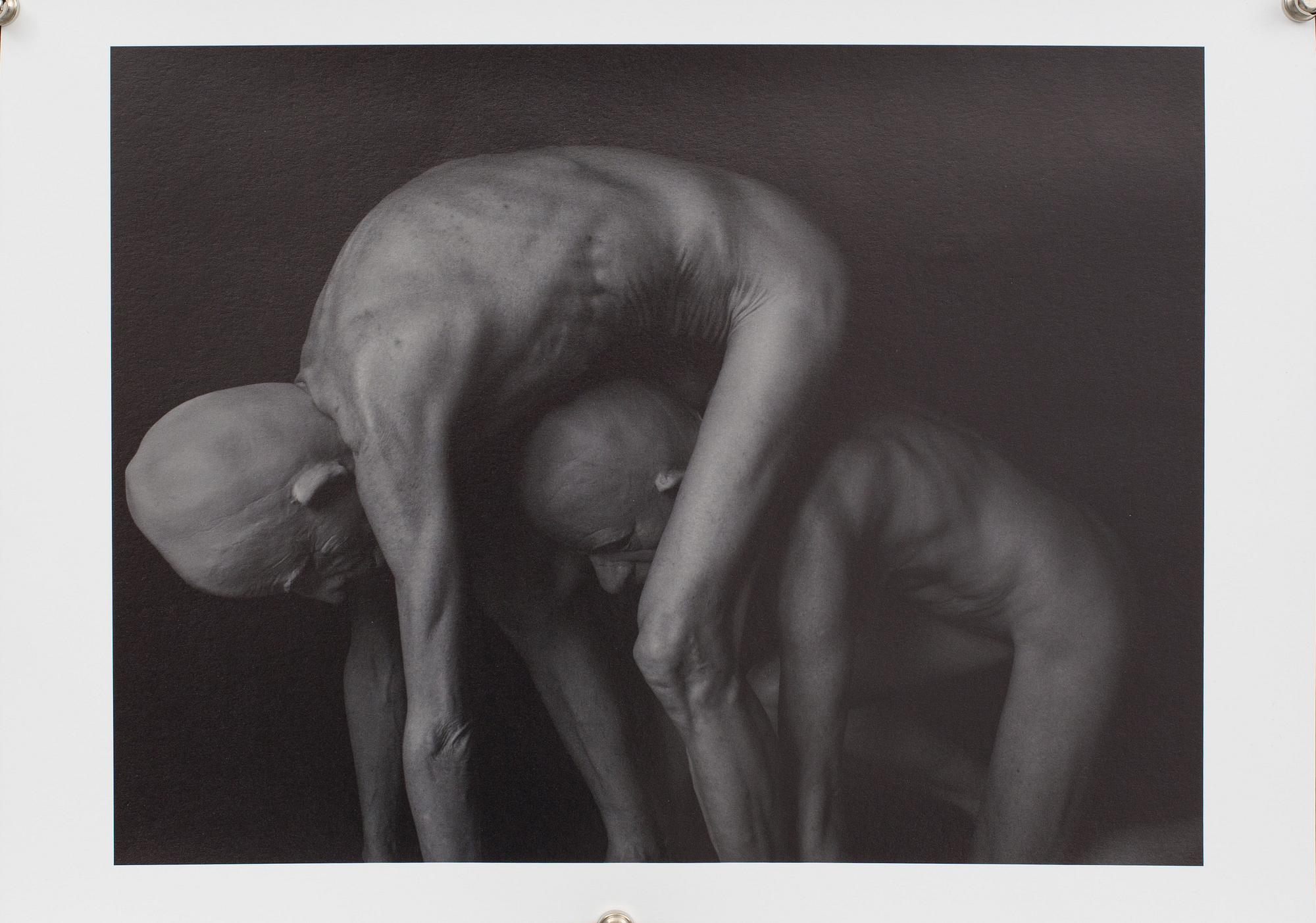 BARRY PRINGLE, photo 1/25, signed 2011.