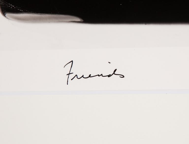 William Wegman, "Friends".