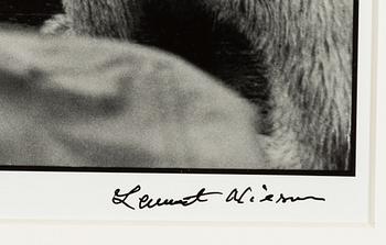 Lennart Nilsson,  "Isbjörnsjakt vid Hvitøya (Vitön), Svalbard, Norge 1947".