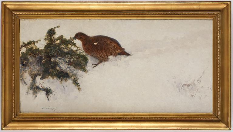 Bruno Liljefors, Capercaillie in winter landscape.