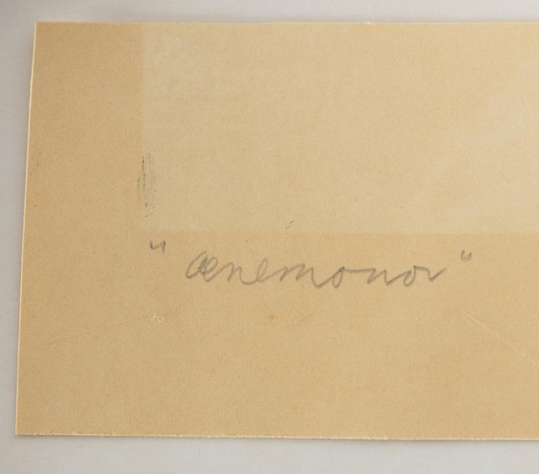 Maja Fjaestad, "Anemones".