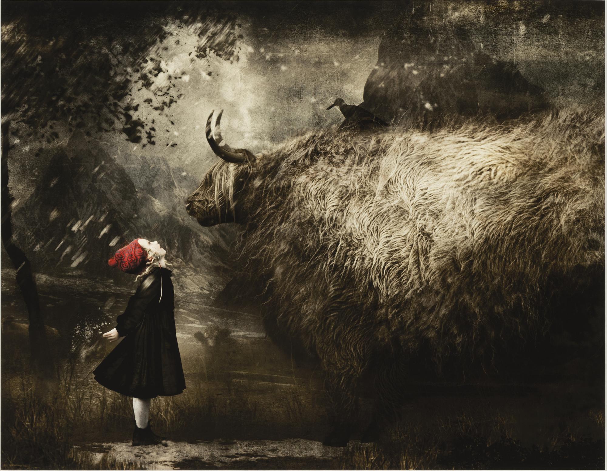 Cooper & Gorfer, archival pigment print, signed 273/375 verso.