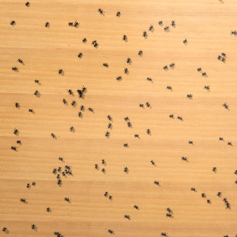 Ed Ruscha, "Black ants" from the series "Insects".