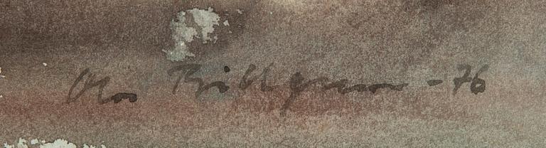 Ola Billgren, solnedgång.