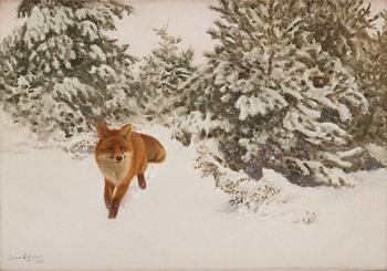 413. Bruno Liljefors, Winter landscape with fox.