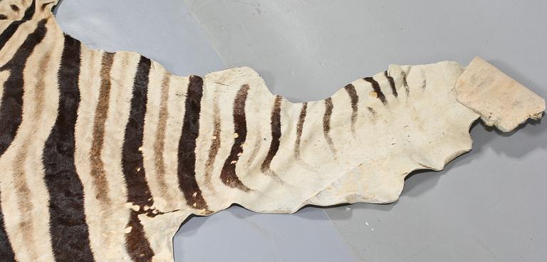 ZEBRASKINN, Namibia, 1988.