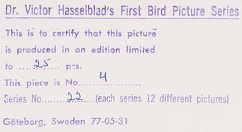 VICTOR HASSELBLAD, fotografier, 12 st, signerade, daterade och numrerade, ur serien nr 22.