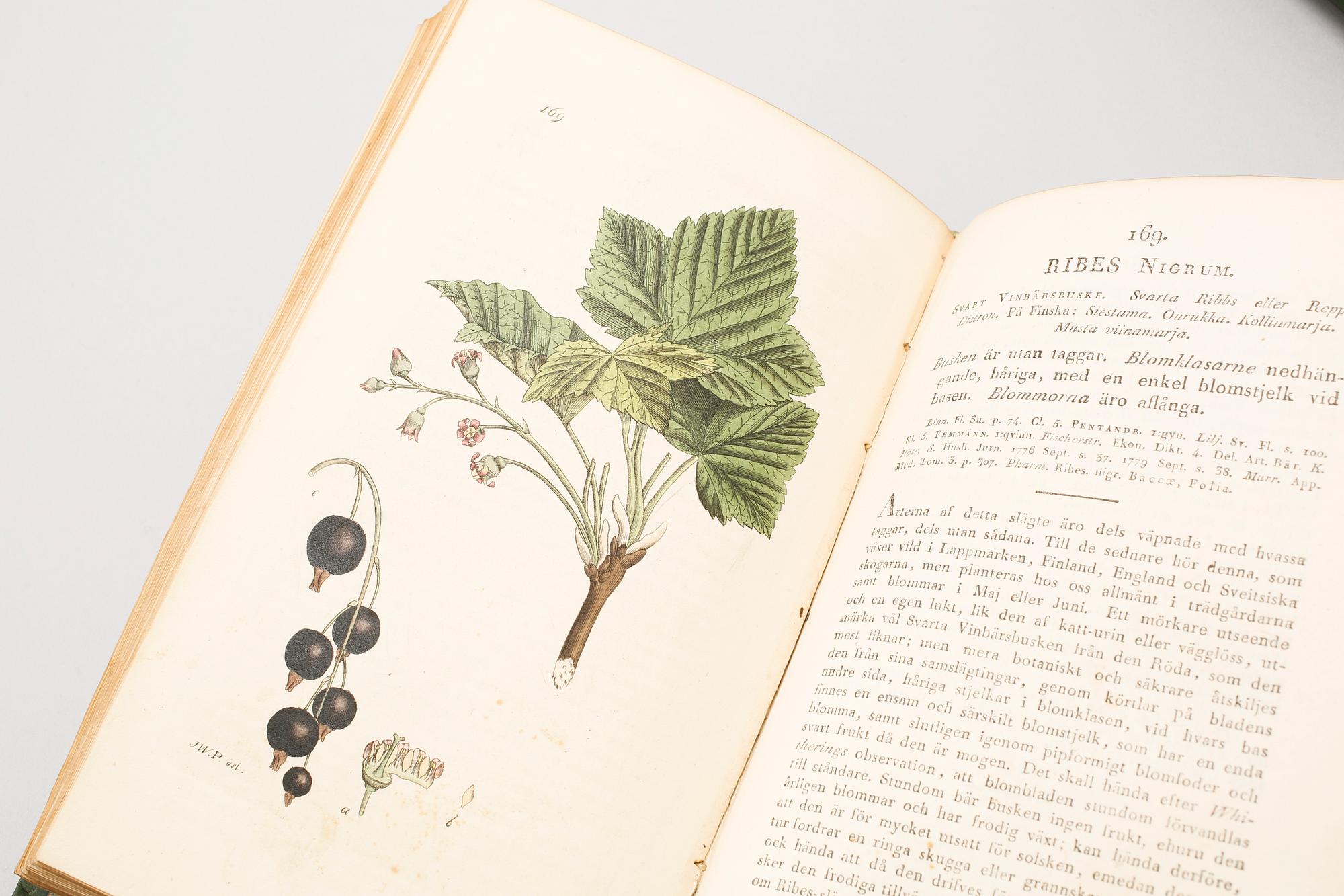4 volumes of 'Svensk Botanik' ('Swedish Botany') by J. W. Palmstruch, 1803-1805.