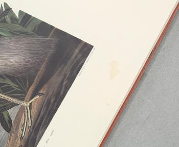 The book "The Birds of America", volume II, by John James Audubon, numbered 178/500, 1973.