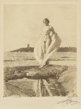 Anders Zorn, "Svanen".