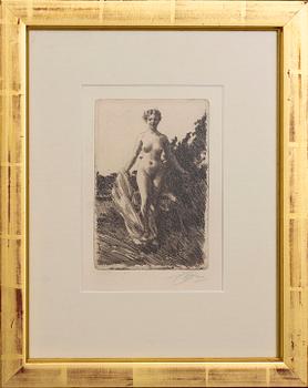 Anders Zorn, a signed etching from 1907.