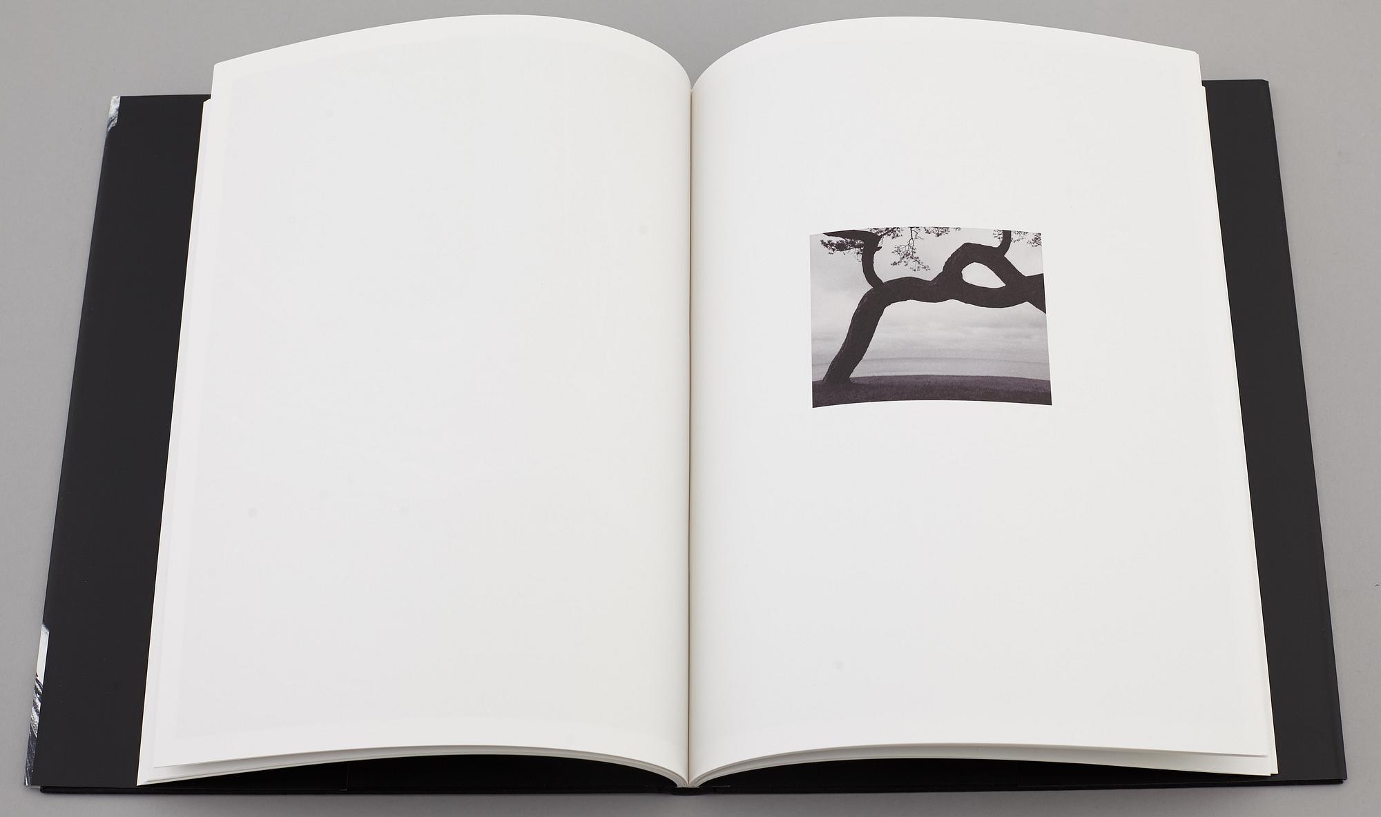 FOTOLITTERATUR, 4 st, svenska fotografer Wolff, Grünstein, Ehrs, Keller.