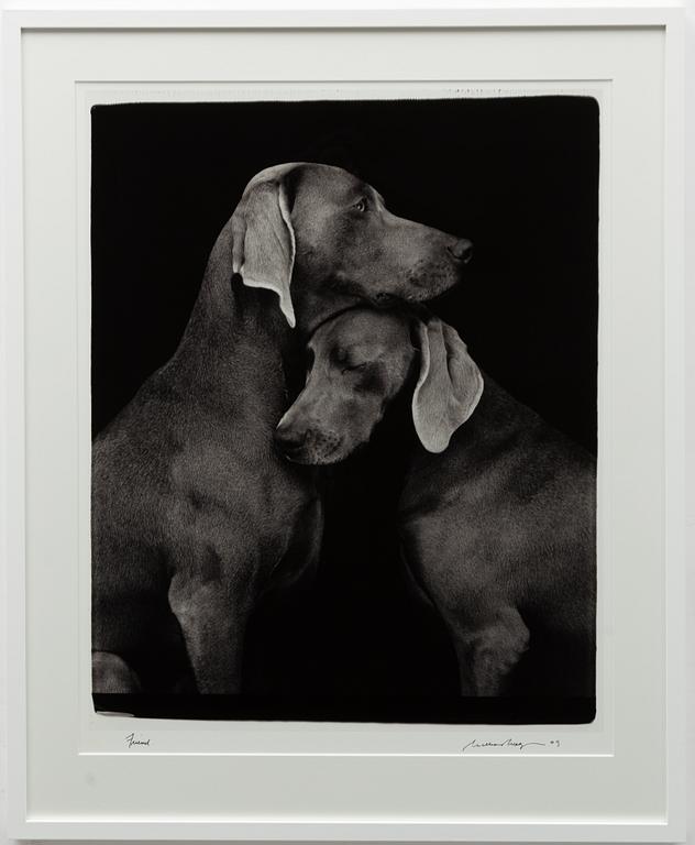 William Wegman, "Friends".