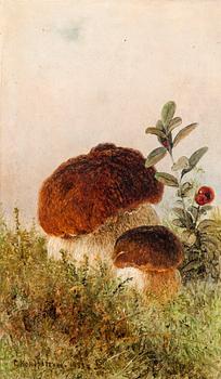 Gavril Pavlovic Kondratenko, MUSHROOMS.