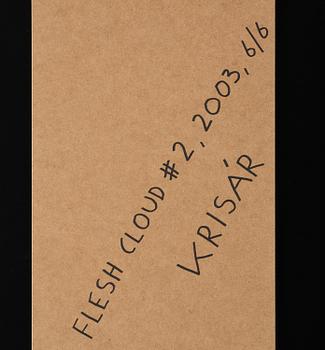 Anders Krisár, "Flesh Cloud #2", 2003.