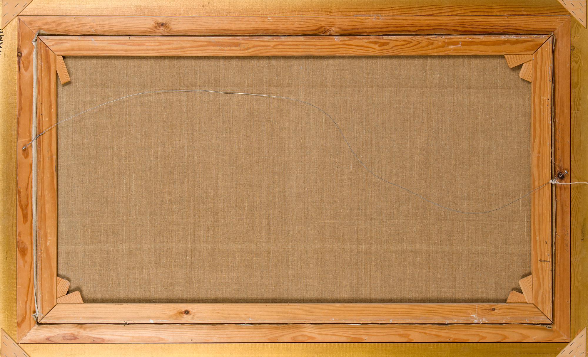 Aares Salli, Vintrig skog.