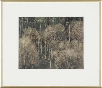Roj Friberg, Vegetation.
