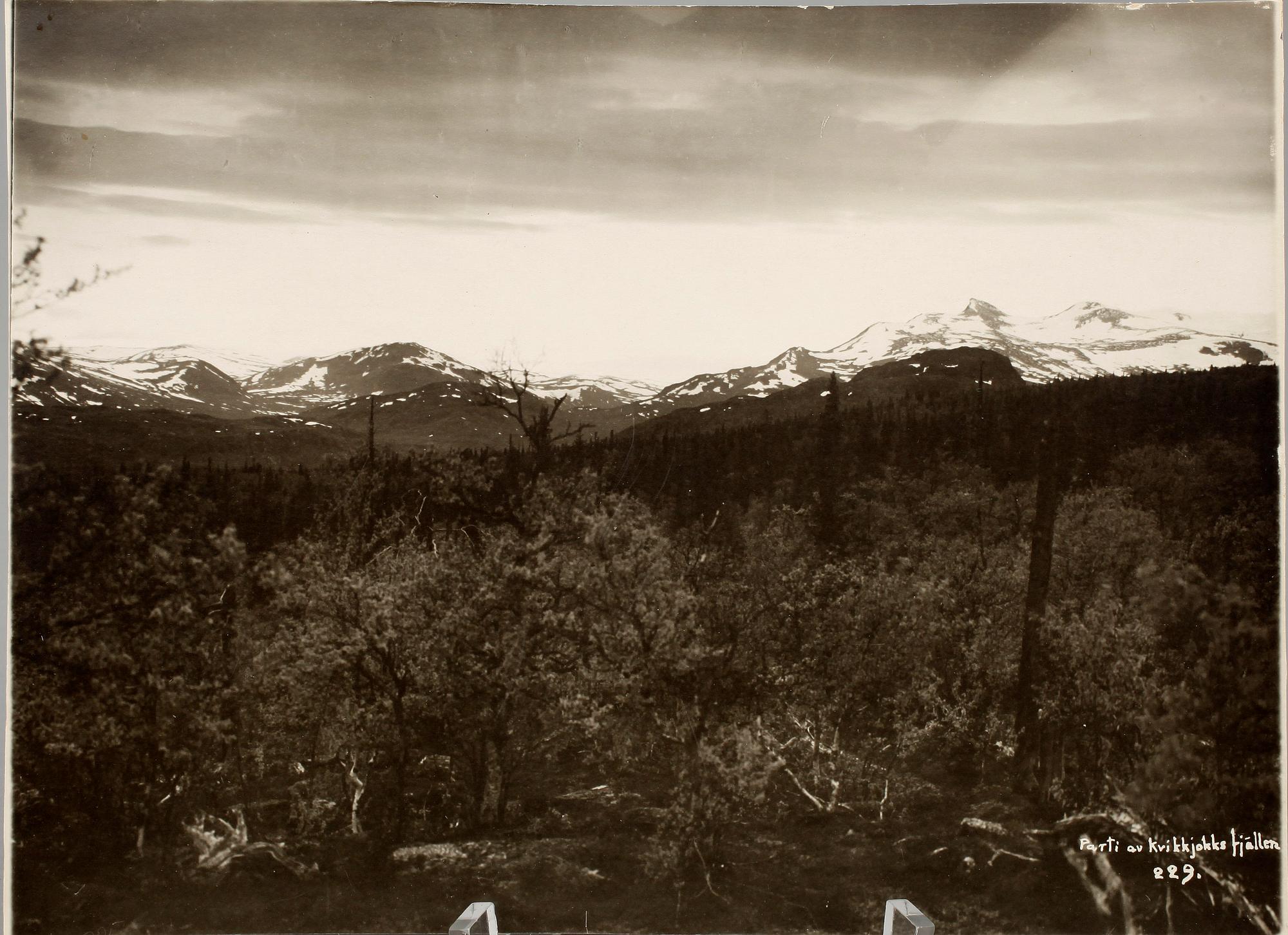 LUDVIG WÄSTFELT, fotografier, 5 st. Några bär djuptryckstämpel från hans ateljé och ett par dat år 1921 o 1922.