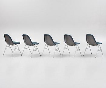Charles & Ray Eames, stolar, 5 st. "DDS-I", licenstillverkad av Hille of London Ltd, England, 1960/70-tal.