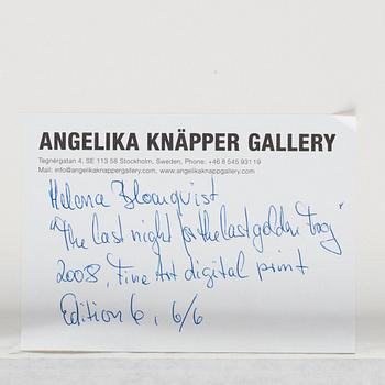 Helena Blomqvist, "Last Night for the Last Golden Frog", 2008.