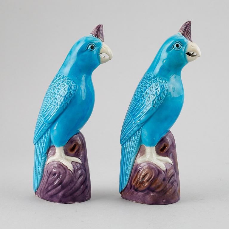 A pair of Chinese turkoise glazed parrots, 20th Century.