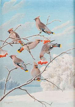 Matti Karppanen, Sidensvansar i Vinterlandskap.