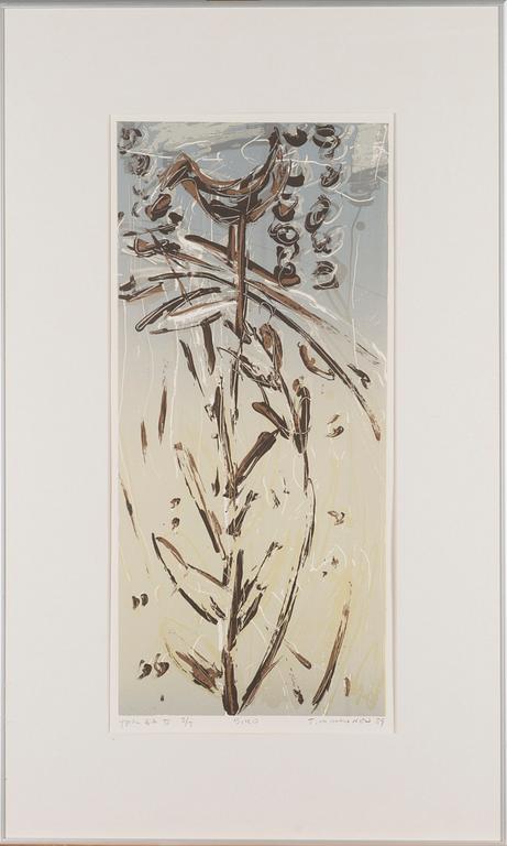 TAPANI MIKKONEN, lithograph, signed, marked EA II 3/5 and dated -89.