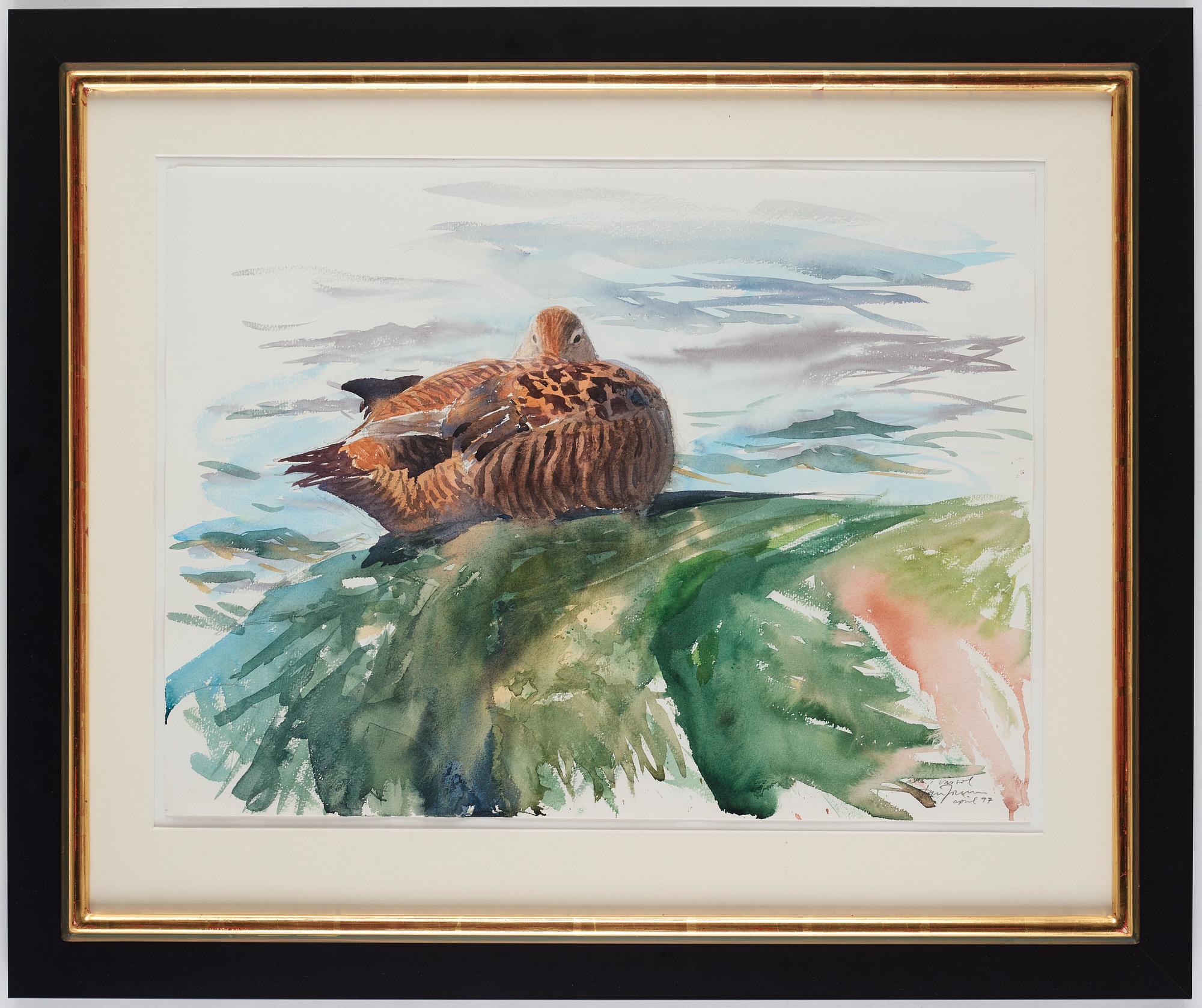 Lars Jonsson, "Åda i vårsol" (Common eider in spring sun).