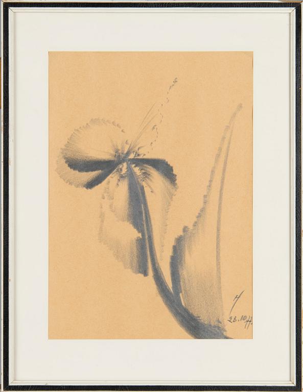 Aleksandra Ionowa, Sielunkukkia.