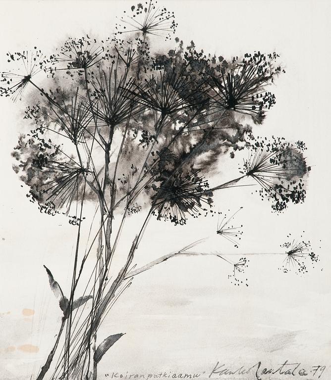 Kauko Rantala, COW PARSLEY.